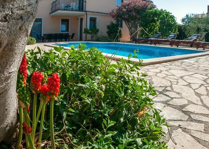 빌라 House /villa Maja *